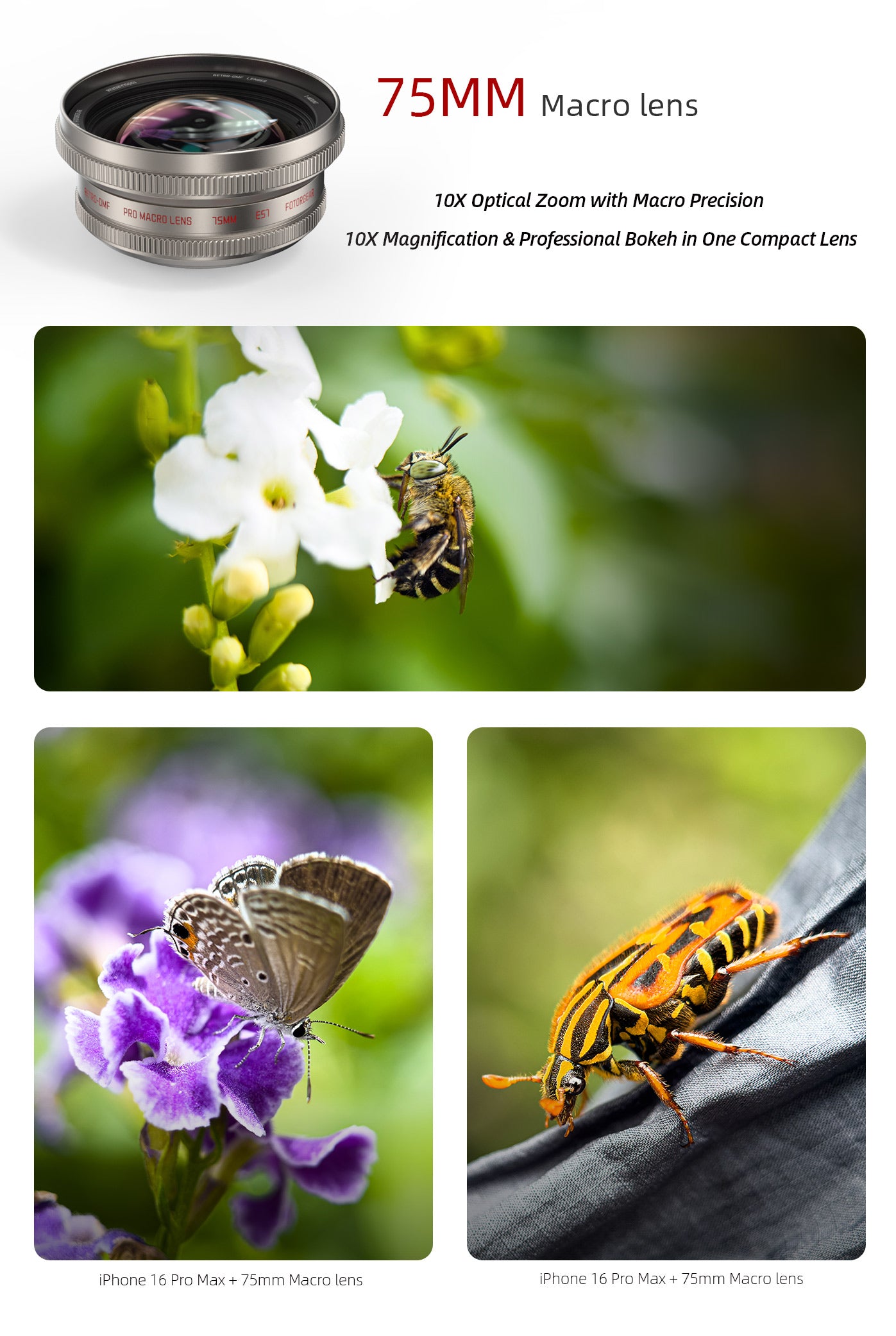 Retro series: 75mm Macro Lens