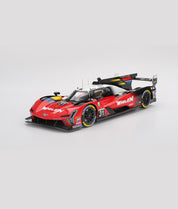 TS0687 * 凯迪拉克 V系列.R #31 凯迪拉克 威伦 2025 IMSA 戴通纳24小时耐力赛