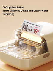 NIIMBOT B21 PRO