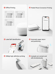 NIIMBOT D11-H