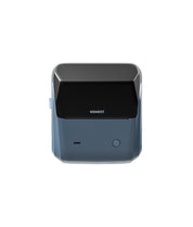 NIIMBOT B31