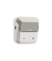 NIIMBOT B31