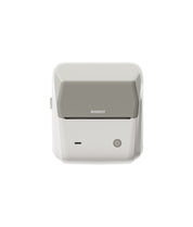 NIIMBOT B31