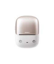 NIIMBOT B2 Pro
